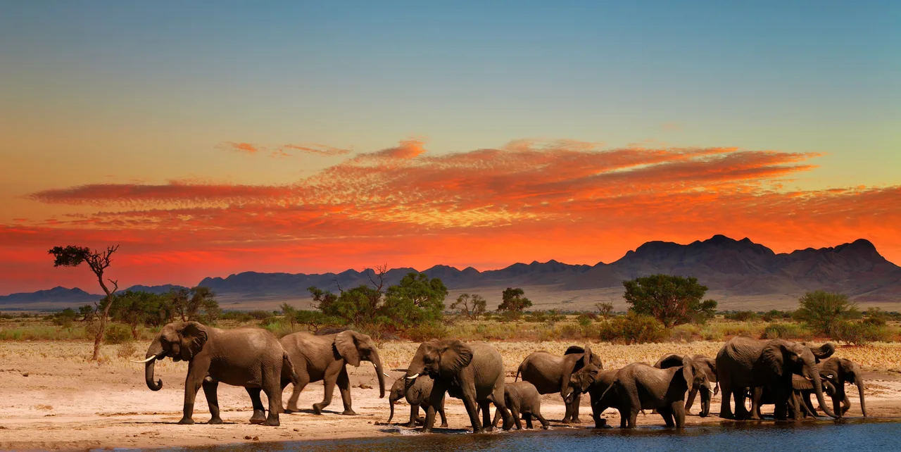 Oriana Safaris
