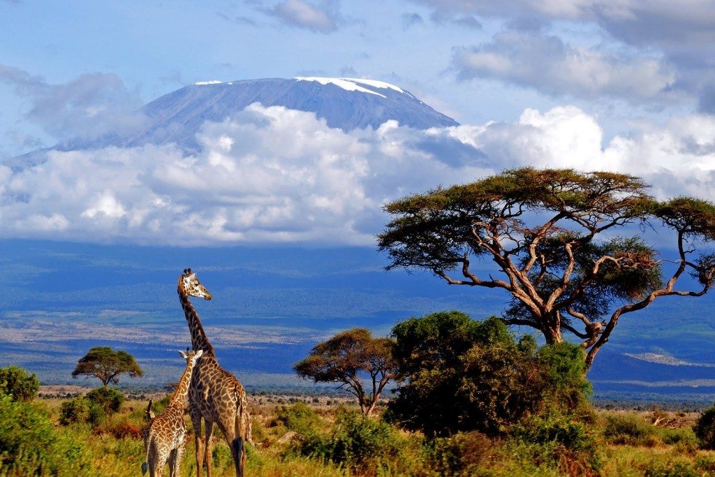 Oriana Safaris